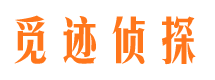 天河市私家调查